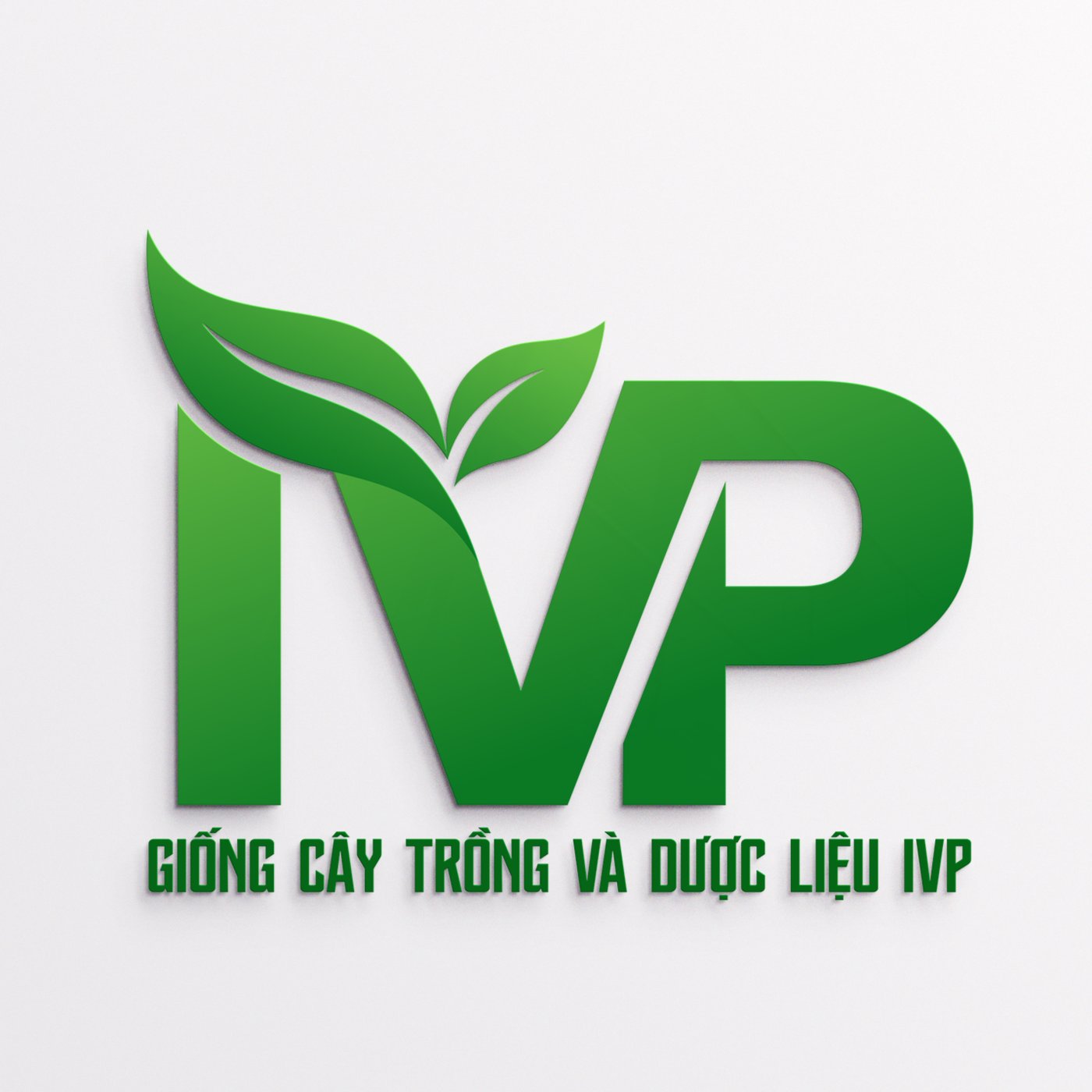 IVP